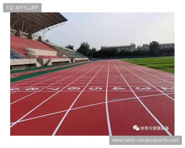 体育技术数据解读与运动表现优化研究分析